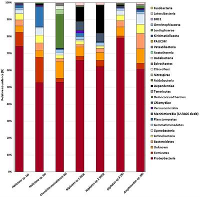 Identification of Sponge-Associated Bacteria From the Coast of Kuwait and Their Potential Biotechnological Applications